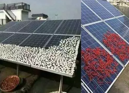 農(nóng)村光伏電站致命殺手是遮擋，這幾樣遮擋萬萬要不得！