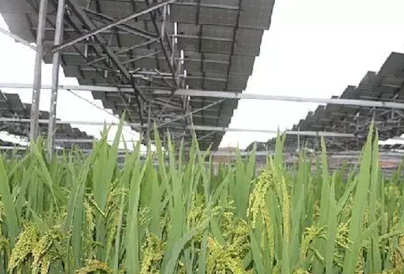 夏季能提高光伏電站發(fā)電量不假，但也會降低發(fā)電量！用戶該怎么辦？