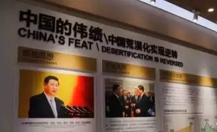 光伏板下搞養(yǎng)殖拼出“沙漠綠洲” 給21億人帶來希望！