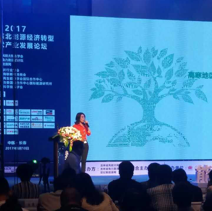 高寒地區(qū)挑戰(zhàn)多？分布式項目光伏逆變器的可靠性是關(guān)鍵！