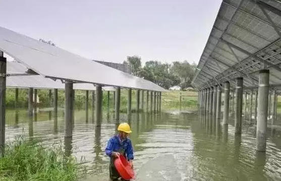 光伏農(nóng)業(yè)——最新經(jīng)濟(jì)熱點，遍地機(jī)遇你抓住了嗎？
