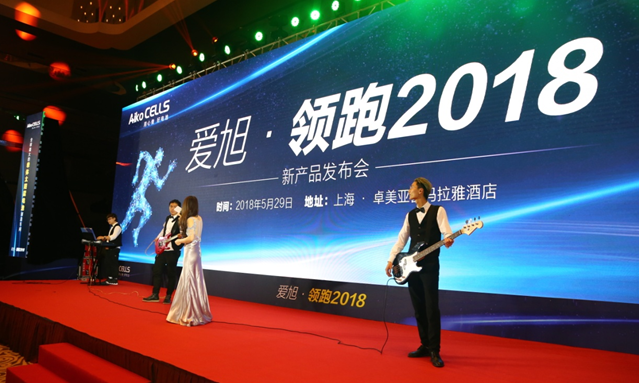 愛(ài)旭半片、疊片電池助力平價(jià)上網(wǎng)