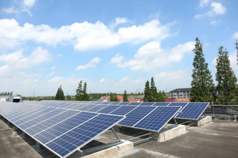 上海松江區(qū)打造首個“綠電校園”:相當于每年種樹6000棵