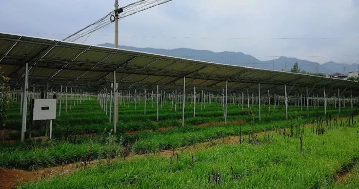 商洛市3MW農(nóng)光互補(bǔ)項(xiàng)目成示范，首航逆變器穩(wěn)定助力，業(yè)主收益有保障
