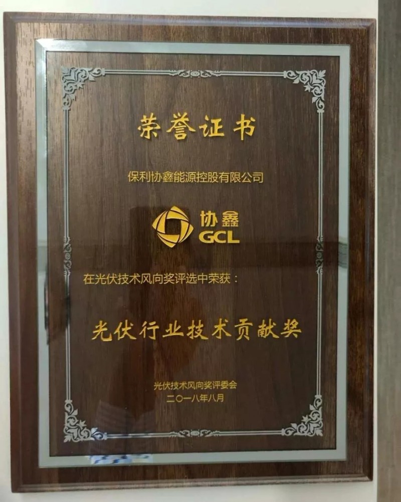 引領(lǐng)黑硅高效光伏，保利協(xié)鑫榮膺“光伏行業(yè)技術(shù)貢獻(xiàn)獎(jiǎng)”