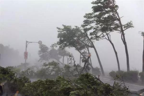 山竹肆掠： 臺(tái)風(fēng)天，光伏電站如何將損失降至最低