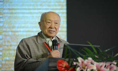 三元?jiǎng)恿﹄姵匕踩珕栴}暫時(shí)無法解決 ？看看專家怎么說